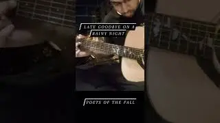 Late Goodbye........#potf #acousticguitar #maxpayne2thefallofmaxpayne