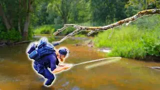 Fly Fishing in Amazing River - Big Fly For Big Fish!  #flyfishing #backcountryfishing