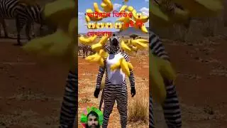 জেব্রার 😱😱কেরামতি#trending #new #foryou #zebra #shortvideo #viralvideo #anmals