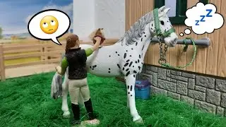 Was Reiter sagen vs. Was Pferde denken 🐴 Schleich