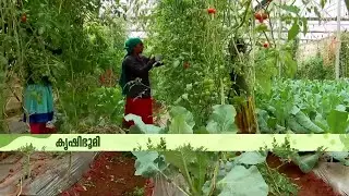 പച്ചക്കറികളില്‍ പുതിയ പരീക്ഷണങ്ങളുമായി അമ്പലവയലിലെ കാര്‍ഷിക ഗവേഷണ കേന്ദ്രം | Krishibhoomi