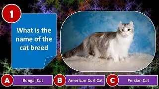 Cat Breed - Quiz Test #cat #cats #quiz #quiztest
