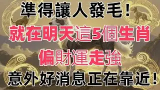 準得讓人發毛！就在明天，這5個生肖偏財運走強，意外好消息正在靠近！#修行 #修行思維 #開悟人生 #禪心之道 #生肖運勢 #人生感悟 #心灵感悟