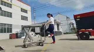 Durable & Hygienic Stainless Steel Platform Trucks 🛠