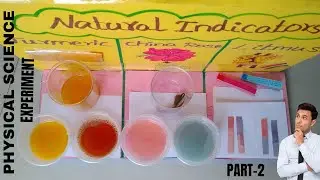 Physical science working model part-2|Acid-Base test with natural indicators