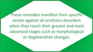 Sphere of action of EH Remedies