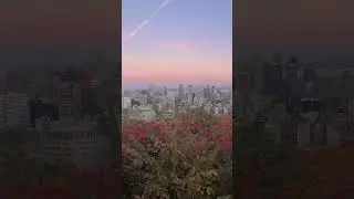 🇨🇦 Belvedere Mont-Royal Montr&eacute;al