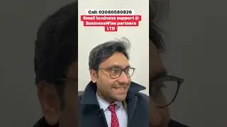 Business support at business wise partners LTD ￼