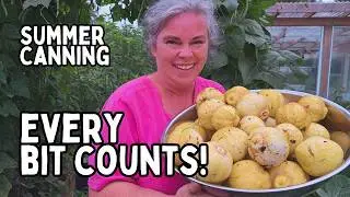 EVERY BIT COUNTS CHALLENGE: Day 4-6, 2024 Food Preservation Canning and Freezing The Harvest