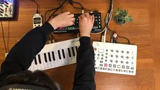 Primordial | DAWless Live Performance Elektron Model:Samples Roland SE-02