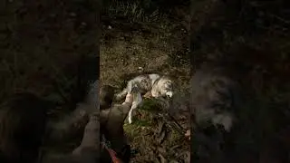 &ldquo;Epic Snow Clash in the Jungle! 🌨️⚔️Part 59 #RedDeadShorts&rdquo;#shorts