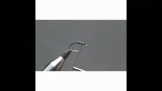 Woven wire larvae