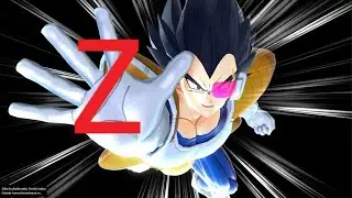I Achieved Z Rank Raider