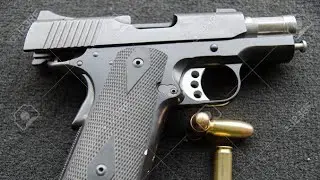 New Punjab video status. Gun lovers