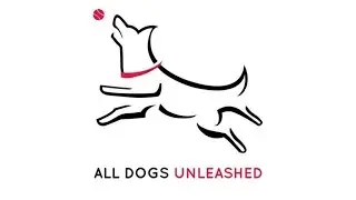 Dallas Dog Training