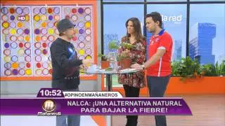 Los beneficios de la nalca que alivia los dolores menstruales