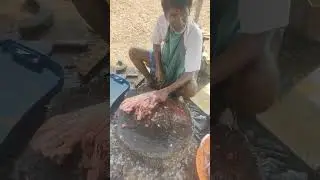 stingray fish cutting         #trendingshorts #fish #viralvideo #stingray #fishcutting #fishcooking
