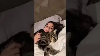 Clingy cat problems 😅 #shorts
