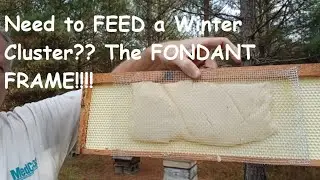 A GREAT Way to Feed Your Bees? Hive Alive Fondant DIRECTLY In the Winter Cluster? The FONDANT FRAME!