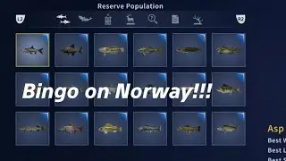 Bingo on Norway Reserve!Call of the Wild: The Angler