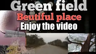 My first vlog Green field Assam #vlog #smallblock #ytvlogs