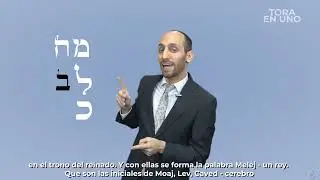 La sabiduría de las letras - ל LAMED - R. Ishai Harari