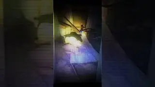 Paranormal activity! #paranormal #haunting #ghost #poltergeist #scary #ghosthunting #banku
