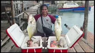 HASILAKHIR MABAR BATAM#strike#mancingmania#fishing#salamjoranmelengkung#mancing#casting#mancingliar