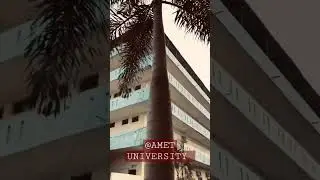 AMET UNIVERSITY
