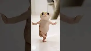 वह क्या सॉन्ग है #cutebaby #comedymusic #funnymusic #funny #ytshorts #music #animals #toys #cute