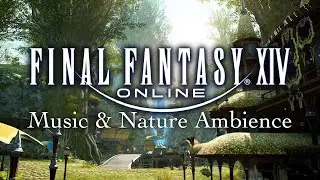 The Beauty of New Gridania | Final Fantasy XIV (Music, Rain, Nature Ambience)
