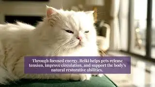 Reiki As A Supportive Therapy For Pets With Cancer