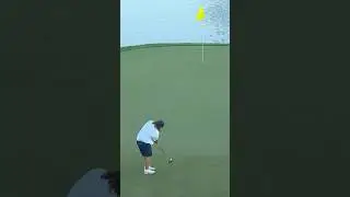 DREAM moment on 17th hole 💙