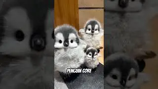 Penguin Core 🐧❄️ | Cute Waddles, Slips & Fluffy Chaos #PenguinCore #CuteAnimals #shorts