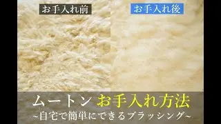 ムートンお手入れ方法 ~自宅で簡単に出来るブラッシング~