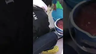 🎣How to keep fish fresh 🐟　 🧠brain fasten 🩸Blood removal　 nerve fasten