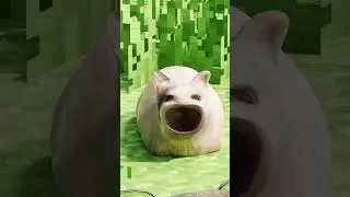 Maxwell and Capybara. Ft. Pop Cat (Let me do 