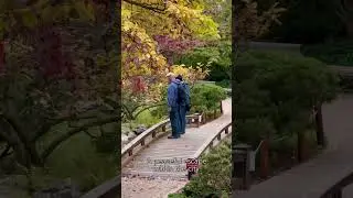 Setagaya Park Vienna &ndash; Peaceful Autumn Vibes in Japan&rsquo;s Garden