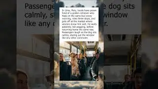 Dog Rides the Bus to the Market Every Morning