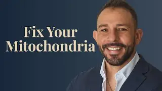 Mitochondria 101: Beat Burnout, Boost Resilience, Restore Energy