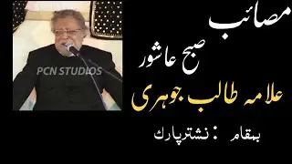 Masaib subh e Ashoor | Allama Talib Johri | Nashtar Park
