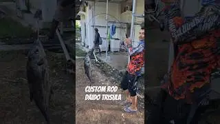 custom joran daido trisula #fishing #mancingmania #daidotrisula @Min_1Rek