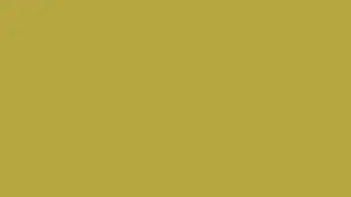 4 Hours of Brass Color Background | Calm Ambient Screen (#B5A642)