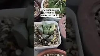 Part 6
