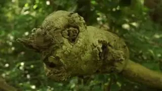 Chelles - Montguichet - Reportage : Dans la Friche (2014 - 2015)