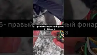 Схема вилки и розетки легкового прицепа? ЦЛП АРИВА 🔔 Казань Чебоксары