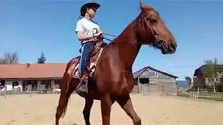 Rio Bravo Piekary :)