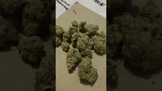Green Karat SO 27/1 - Sonic Strawberry - Обзор медицинского каннабиса в Великобритании