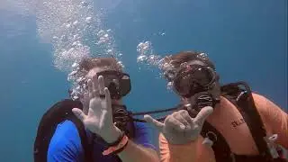 Key Largo Scuba Diving 2022