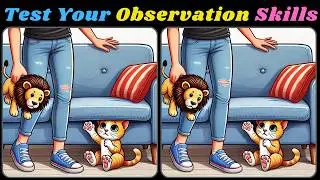 Spot The Difference : Brain Your Train Find the Difference Games 🍀379  [Spot 3 Differences]